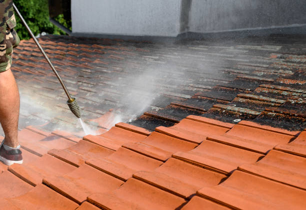 Best House Pressure Washing  in Queens Gate, PA